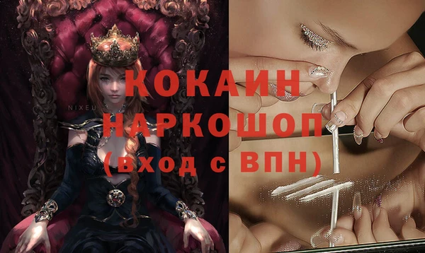 дживик Пестово