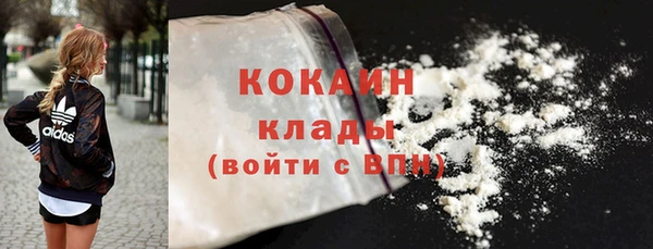 дживик Пестово